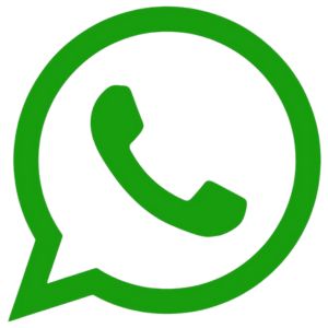 whatsapp dinkes Blitar